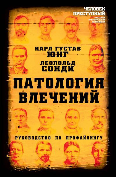 Патология влечений. Руководство по профайлингу,