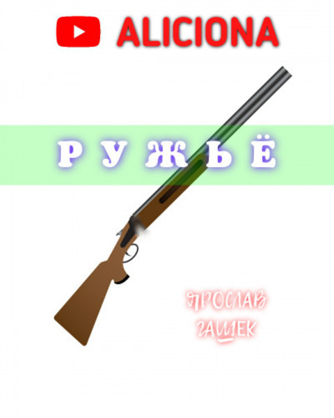 Ружьё