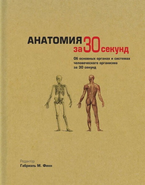 Анатомия за 30 секунд